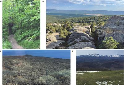 Plant blindness: A focus on its biological basis